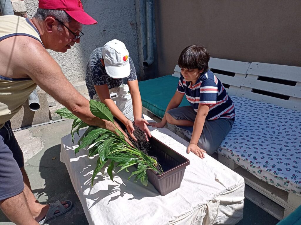 Floarea Vieții Copii Atelier Grădinărit